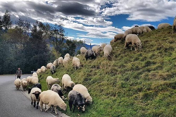 SLOVAKIA PRIVATE TOUR with ZAKOPANE - Transportation & Timing
