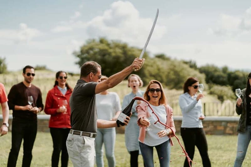 Slovenia Wine Tour in a Family-Owned Cellars - A Wine Tour Through Slovenia’s Family-Owned Cellars: An Authentic Taste of Vipava Valley