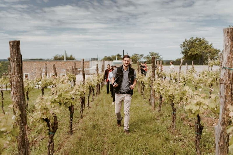 Slovenia Wine Tour in a Family-Owned Cellars - Who Will Love This Tour?