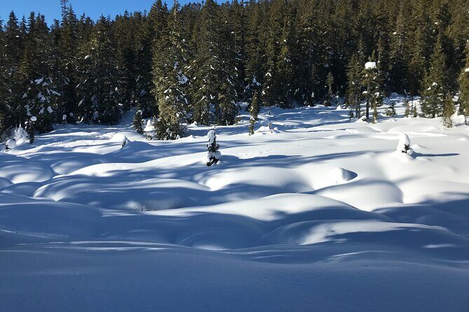 Slow down and enjoy winter on a private snowshoe tour. - Key Points