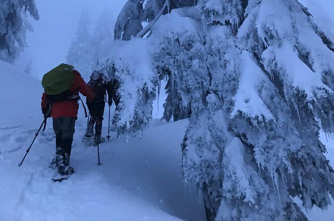 Slow down and enjoy winter on a private snowshoe tour. - Practical details and considerations