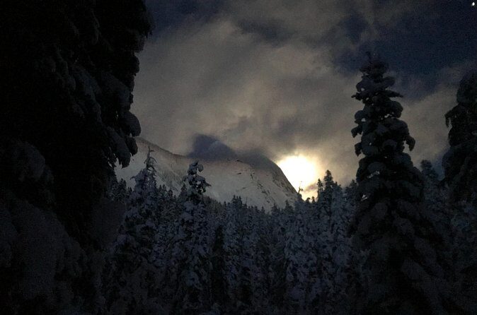 Slow down and enjoy winter on a private snowshoe tour. - The Sum Up