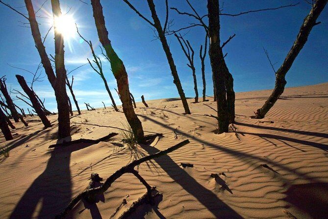 Slowinski National Park Private Tour - The Experience of the Guide and Logistics