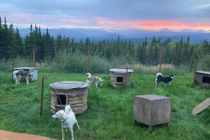 Sluice Box Kennel Experience - A Closer Look at the Sluice Box Kennel Experience