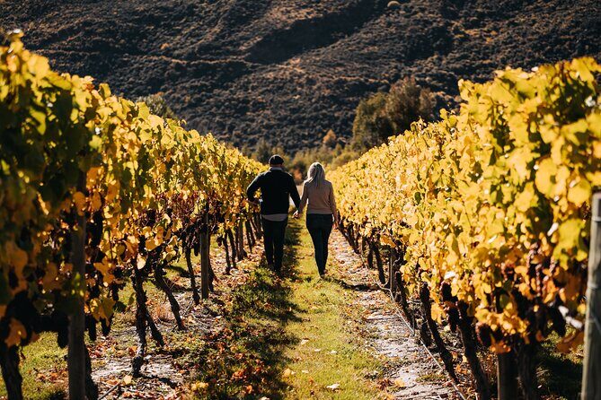 Small Batch Private Wine Experience in Gibbston, Queenstown. - An In-Depth Look at the Experience
