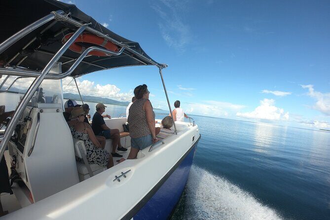 Small Day Cruise (Ilet caret, mangrove, coral reef - An Introduction to the Experience