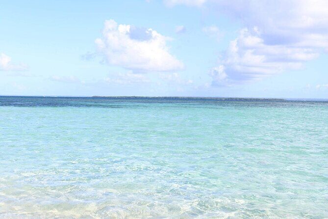 Small Day Cruise (Ilet caret, mangrove, coral reef - What’s Included and What’s Not