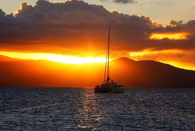 Small Day Cruise (Ilet caret, mangrove, coral reef - Who Would Love This Tour?