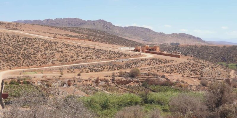 Small Desert Trip - Scenic Atlas Drive