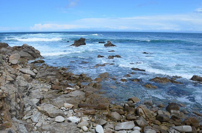 Small Group | 1 Day Tour Through Monterey From San Francisco - FAQ