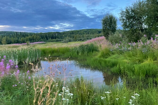 Small Group 18-hole Golf Experience in Fairbanks - The Sum Up