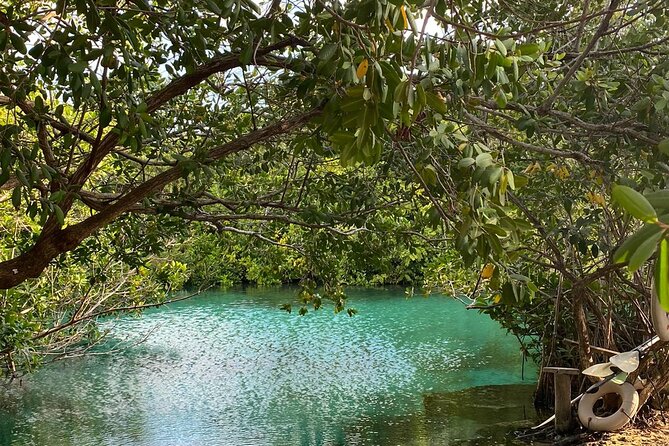 Small-Group 3 Cenotes Adventure Tour - Knowledgeable Guides