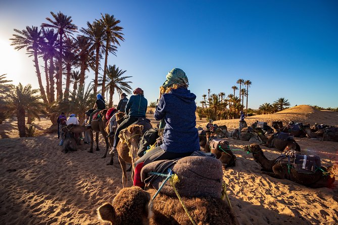 Small Group 3-Days Fez to Marrakech Desert Tour - Inclusions and Exclusions
