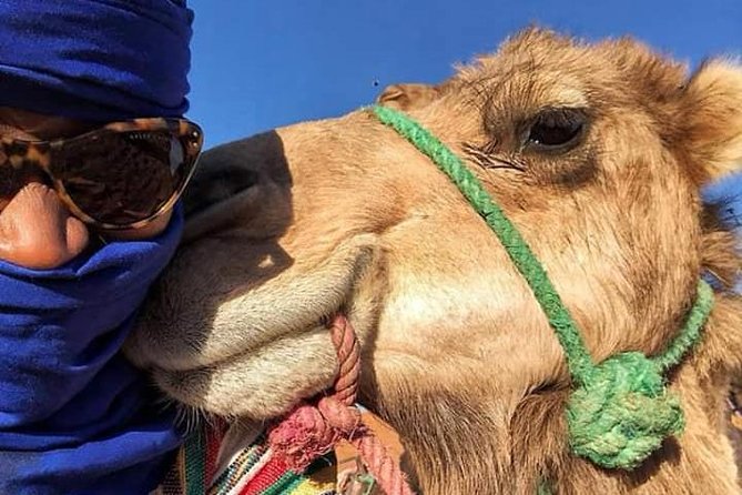 Small Group 3-Days Fez to Marrakech Desert Tour - Booking Process