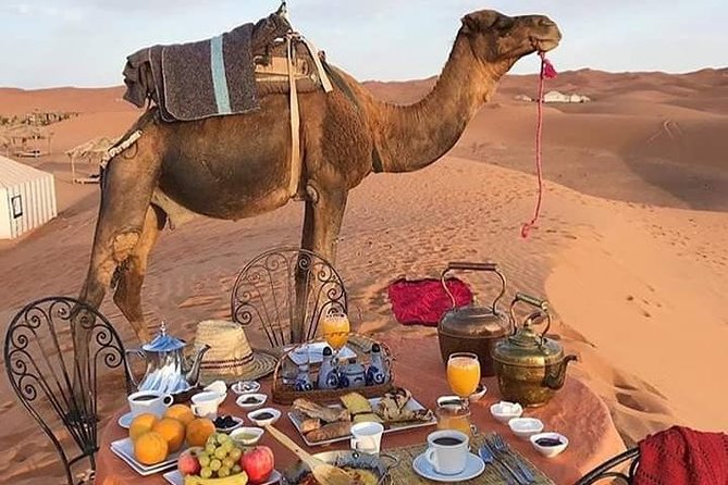 Small Group 3-Days Fez to Marrakech Desert Tour - Health and Accessibility Information