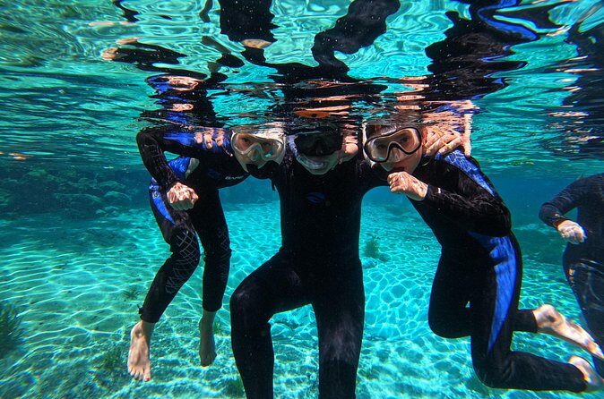 Small Group 6 Passenger Manatee Swim - The Sum Up