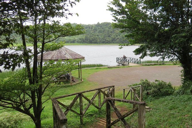 Small-Group Adventure Trek in Grand Etang National Park - Authenticity and Value