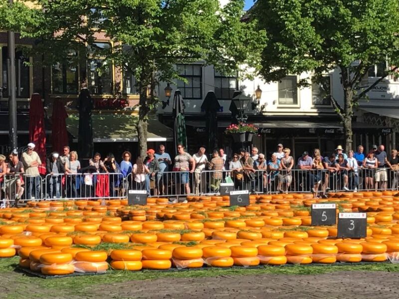 Small Group Alkmaar Cheese Market and City Tour *English* - Cultural Insights