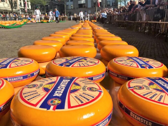 Small Group Alkmaar Cheese Market and City Tour *English* - Tips for Your Visit