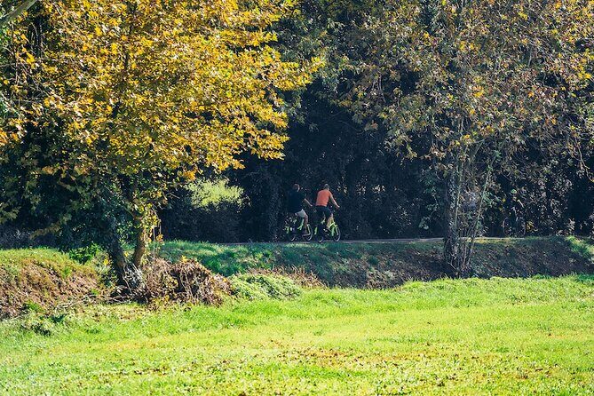 Small-group Amarone Wine e-Bike Tour from Verona - Small-group Amarone Wine e-Bike Tour from Verona: A Detailed Review