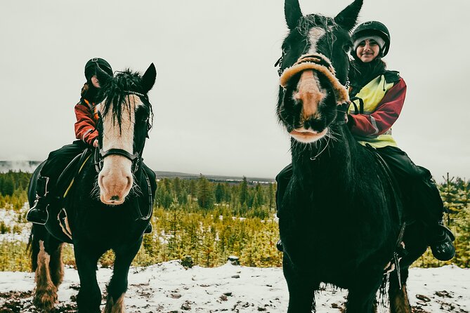 Small-Group Arctic Circle Horse Riding From Rovaniemi - Pickup and Meeting Information
