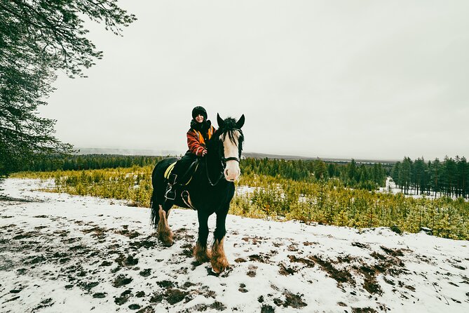 Small-Group Arctic Circle Horse Riding From Rovaniemi - Schedule and Requirements