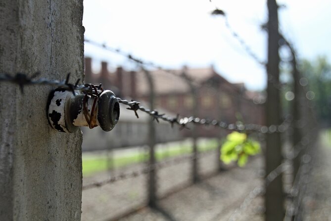 Small Group Auschwitz & Birkenau Guided Tour From Warsaw ABTA - Important Information and Restrictions