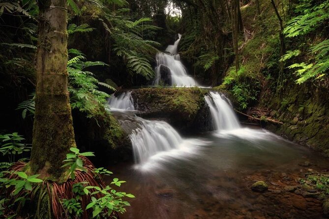 Small Group Big Island Waterfalls Adventure - Additional Information