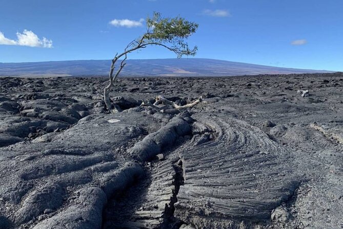 Small Group Big Island Waterfalls Adventure - Directions and Secure Reservation