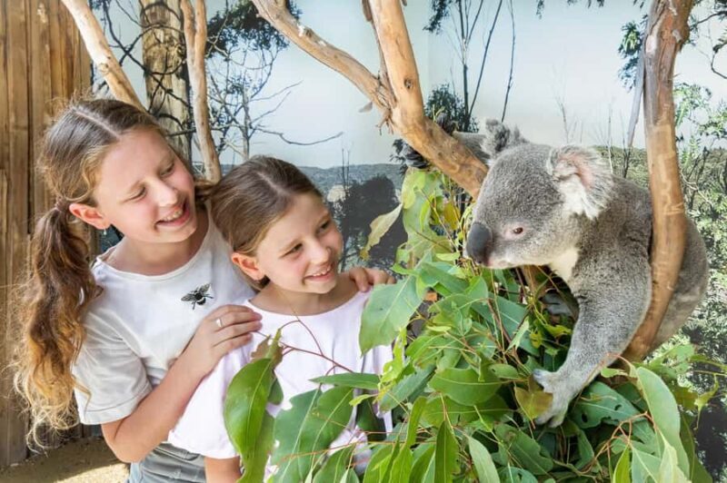 Small Group Blue Mountains, Wildlife & Scenic World Day Tour - Key Points