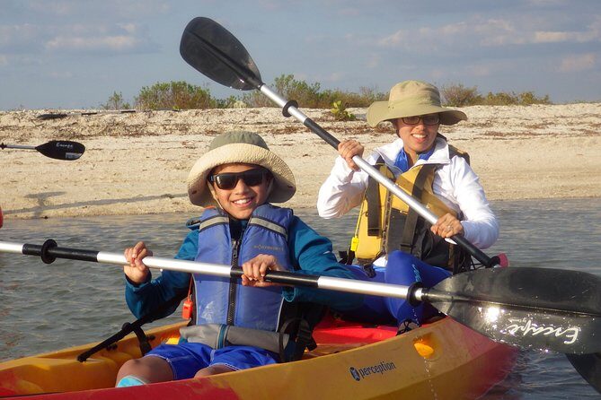 Small Group Boat, Kayak and Walking Guided Eco Tour Everglades - Key Points