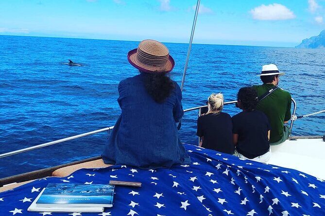 Small Group Boat Whale and Dolphin Watching Tour - FAQ