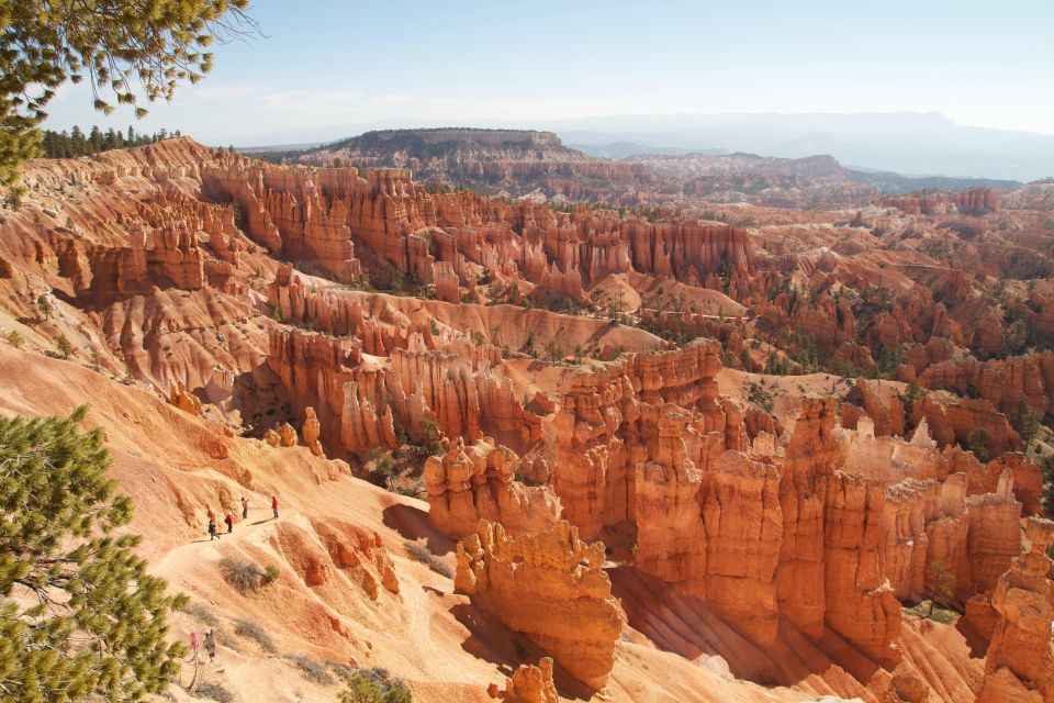 Small-Group Bryce Canyon Day Tour & Hike - Flora and Fauna Observation