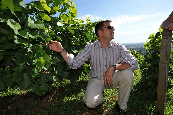 Small Group Burgundy Tour of Beaune With Wine Tasting From Dijon - Personalized Small Group Tour