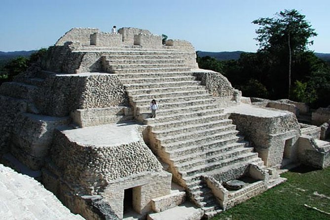Small Group Caracol Tour From San Ignacio - Wildlife Spotting Opportunities