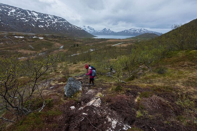 Small Group Citizen Science Hike in Tromso - Good To Know
