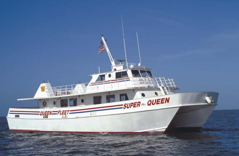 Small Group Clearwater Beach,Dolphin Watch Tour from Orlando - An Authentic Day at Clearwater Beach