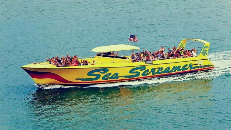 Small Group Clearwater Beach,Dolphin Watch Tour from Orlando - What Travelers Say