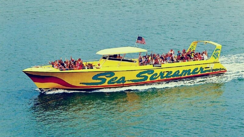 Small Group Clearwater Beach,Dolphin Watch Tour from Orlando - The Value Proposition