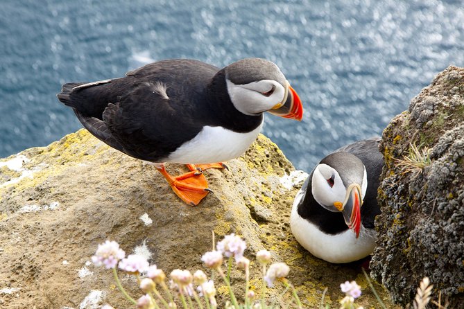 Small Group - Cliffs Cruise, Aran Islands and Connemara in One Day From Galway - Highlights of the Itinerary