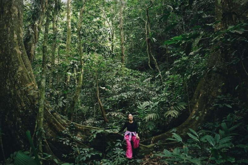 Small Group: Cucphuong National Park 1 Day Pick up Ninh Binh - Important Information