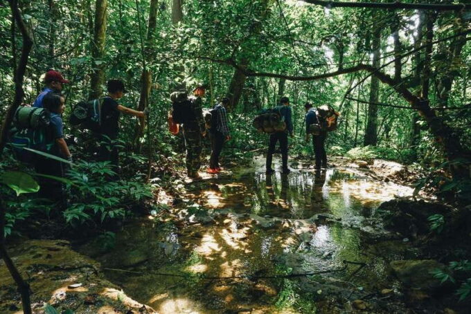 Small Group: Cucphuong National Park 1 Day Pick up Ninh Binh - What to Bring