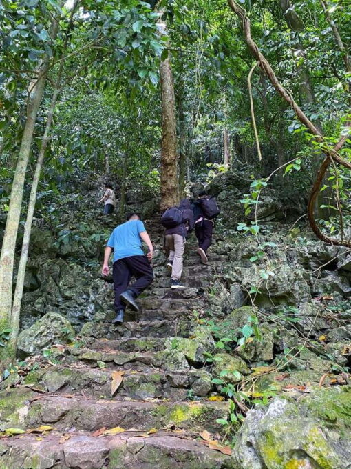 Small Group: Cucphuong National Park 1 Day Pick up Ninh Binh - How to Book Your Trip