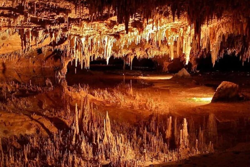 Small-Group D.C. Day Trip to Shenandoah Park & Luray Cavern - Exploring Virginia’s Natural Treasures: A Detailed Breakdown