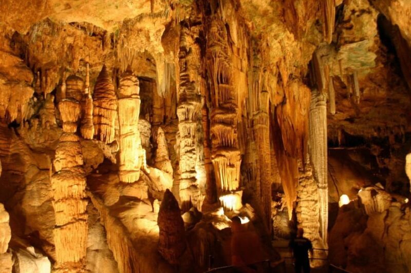 Small-Group D.C. Day Trip to Shenandoah Park & Luray Cavern - FAQs