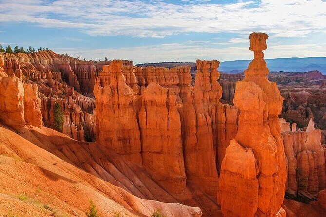 Small Group Day Tour To Explore Bryce Canyon & Zion National Park - Who Will Love This Tour?