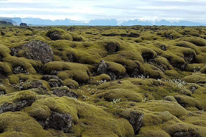 Small Group Day Tour to Lakagigar Volcano by Super Jeep From Klaustur - Regulations and Restrictions