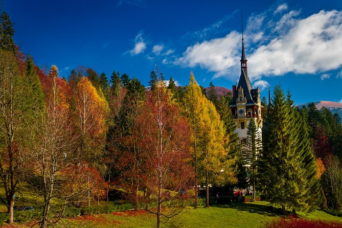 Small-Group Day Trip to Draculas Castle, Brasov and Peles Castle From Bucharest - Important Information for Participants