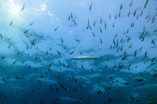 Small Group Diving Baptism in Tossa de Mar - FAQ
