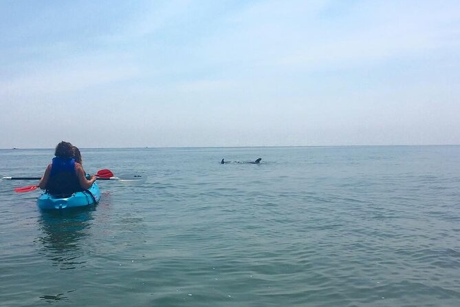 Small Group Dolphin Kayak Eco-Tour - Pricing and Cancellation Policy